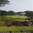  Terreno (Parcela) en venta en Lakarsantri, East Jawa, Lakarsantri, Surabaya, East Jawa
