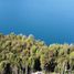  Land for sale in Chile, Chaiten, Palena, Los Lagos, Chile