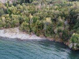  Land for sale in Chile, Chaiten, Palena, Los Lagos, Chile