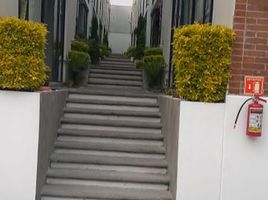 2 Schlafzimmer Villa zu verkaufen in Cuajimalpa De Morelos, Mexico City, Cuajimalpa De Morelos