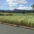  Terreno (Parcela) en venta en Calamba City, Calabarzon, Calamba City, Laguna, Calabarzon, Filipinas