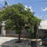 3 Habitación Villa en venta en Monterrey, Nuevo León, Monterrey