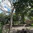  Grundstück zu vermieten in Othon P Blanco, Quintana Roo, Othon P Blanco, Quintana Roo