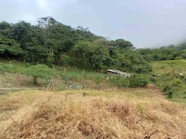  Terreno (Parcela) en venta en Caldas, Manizales, Caldas