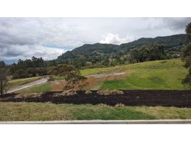  Terreno (Parcela) en venta en La Ceja, Antioquia, La Ceja