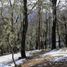  Terreno (Parcela) en venta en Chile, Curacautin, Malleco, Araucanía, Chile