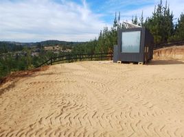  Terreno (Parcela) en venta en Cardenal Caro, Libertador General Bernardo O'Higgins, Navidad, Cardenal Caro