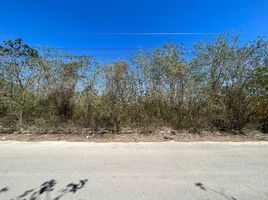  Grundstück zu verkaufen in Conkal, Yucatan, Conkal