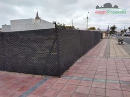  Land for rent in Chile, Caldera, Copiapo, Atacama, Chile