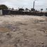  Land for rent in Chile, Caldera, Copiapo, Atacama, Chile