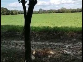  Land for sale in Apodaca, Nuevo Leon, Apodaca