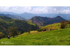  Grundstück zu verkaufen in Medellin, Antioquia, Medellin