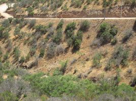  Land for sale in Melipilla Santiago, Melipilla, Melipilla, Santiago, Chile