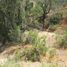  Land for sale in Melipilla Santiago, Melipilla, Melipilla, Santiago, Chile