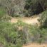  Land for sale in Melipilla Santiago, Melipilla, Melipilla, Santiago, Chile