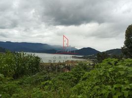  Grundstück zu verkaufen in Valle De Bravo, Mexico, Valle De Bravo