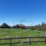  Terreno (Parcela) en venta en Cardenal Caro, Libertador General Bernardo O'Higgins, Navidad, Cardenal Caro