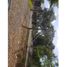  Terreno (Parcela) en alquiler en Panamá, Parque Lefevre, Ciudad de Panamá, Panamá