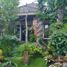 Maison 5 chambre à vendre à Tambaksari, East Jawa, Tambaksari, Surabaya, East Jawa