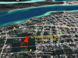 Terrain à vendre à Othon P Blanco, Quintana Roo, Othon P Blanco