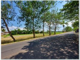  Land for sale in Prambanan, Klaten, Prambanan