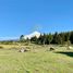  Terreno (Parcela) en venta en Chile, Villarrica, Cautín, Araucanía, Chile
