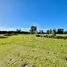  Terreno (Parcela) en venta en Chile, Villarrica, Cautín, Araucanía, Chile
