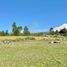  Terreno (Parcela) en venta en Chile, Villarrica, Cautín, Araucanía, Chile