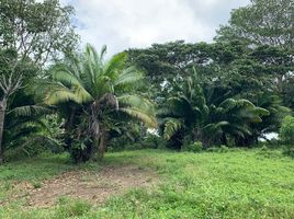  Terrain for sale in Maynas, Loreto, Iquitos, Maynas