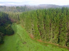  Land for sale in Chile, San Pablo, Osorno, Los Lagos, Chile