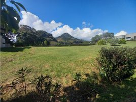  Land for sale in La Ceja, Antioquia, La Ceja