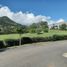  Land for sale in La Ceja, Antioquia, La Ceja