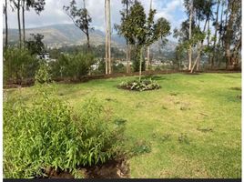  Terreno (Parcela) en venta en Tumbaco, Pichincha, Tumbaco