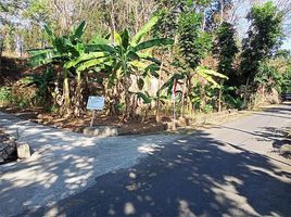  Land for sale in Bantul, Yogyakarta, Pajangan, Bantul