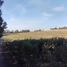  Land for sale in Araucania, Pitrufquen, Cautin, Araucania