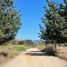  Grundstück zu verkaufen in Ensenada, Baja California, Ensenada