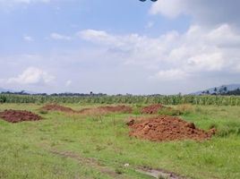  Tanah for sale in Jenggawah, Jember, Jenggawah