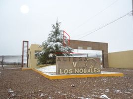  Grundstück zu verkaufen in Saucillo, Chihuahua, Saucillo