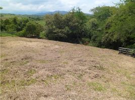  Land for sale in Tulua, Valle Del Cauca, Tulua