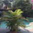 5 Bedroom House for sale in District 2 Ho Chi Minh City, Thao Dien, District 2, Ho Chi Minh City, Vietnam