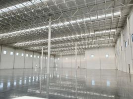 과달 루페, 누에 보 레온PropertyTypeNameBedroom, 과달 루페