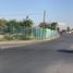  Land for rent in Torreon, Coahuila, Torreon