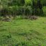  Land for sale in Cali, Valle Del Cauca, Cali