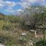  Terreno (Parcela) en venta en Chicxulub Pueblo, Yucatán, Chicxulub Pueblo