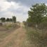  Land for sale in Tzimol, Chiapas, Tzimol