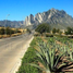  Terrain for sale in Nuevo Leon, San Pedro Garza Garcia, Nuevo Leon