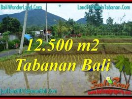  Land for sale in Penebel, Tabanan, Penebel