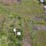  Terrain for sale in Jungla de Panama Wildlife Refuge, Palmira, Alto Boquete