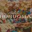  Land for sale in Hunucma, Yucatan, Hunucma
