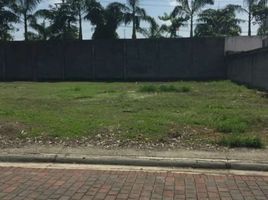  Terreno (Parcela) en venta en Samborondón, Guayas, Samborondon, Samborondón